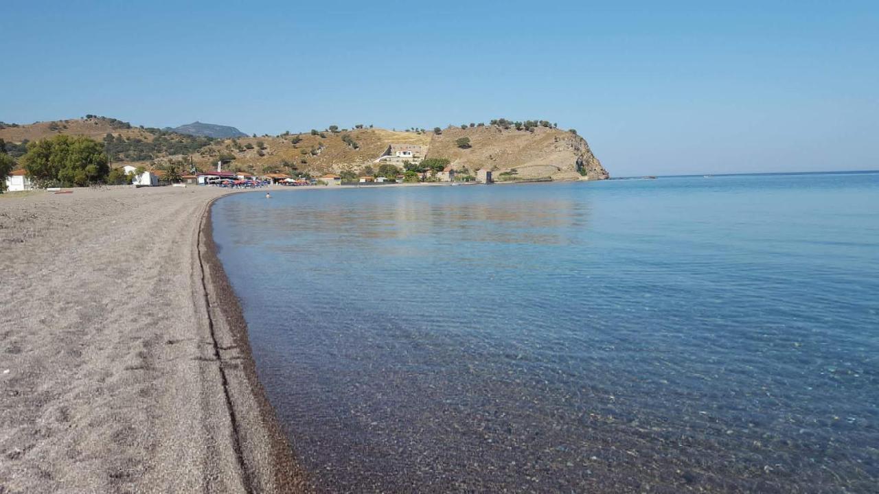 Anaxos Hotel Exterior photo